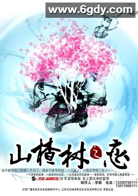 山楂树之恋2011(2011)完结已完结迅雷网盘全集下载