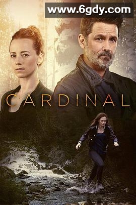 冰血缉凶 第二季(2018)完结6集全迅雷网盘全集下载