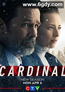 冰血缉凶 第四季(2020)完结6集全迅雷网盘全集下载