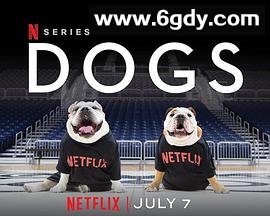 爱犬情深 第二季(2021)完结4集全迅雷网盘全集下载