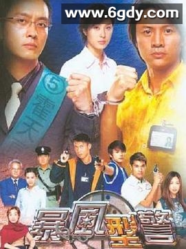暴风刑警(2003)完结30集全迅雷网盘全集下载