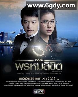 命中注定我爱你(2017)完结34集全迅雷网盘全集下载