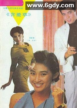 含羞草(1987)完结已完结迅雷网盘全集下载