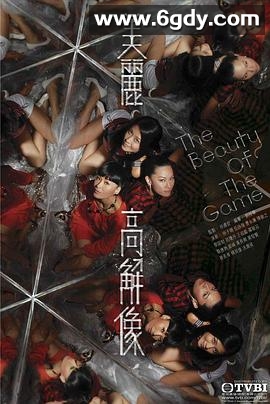 美丽高解像(2009)完结20集全迅雷网盘全集下载