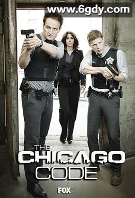 芝加哥法则(2011)完结更新至13集完结迅雷网盘全集下载