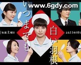 永远的白羽毛(2018)完结全8集迅雷网盘全集下载