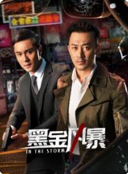 黑金风暴(2022)完结30集全迅雷网盘全集下载