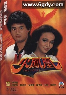 火凤凰(1981)完结20集全迅雷网盘全集下载