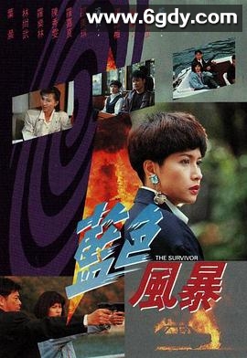 蓝色风暴(1991)完结20集全迅雷网盘全集下载