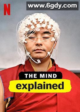 头脑解密 第一季(2019)完结全5集迅雷网盘全集下载