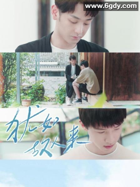 犹如故人来(2021)完结全12集迅雷网盘全集下载