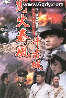 野火春风斗古城(1995)完结全20集迅雷网盘全集下载