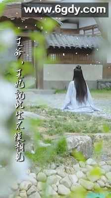 王爷，王妃说此生不复相见(0)完结已完结迅雷网盘全集下载