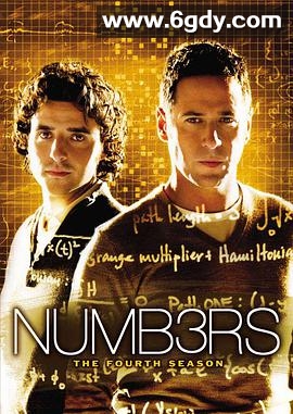 数字追凶第四季(2007)完结已完结迅雷网盘全集下载