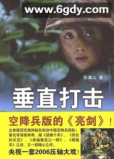 垂直打击(2006)完结全20集迅雷网盘全集下载