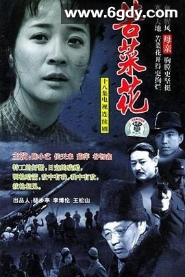 苦菜花(2004)完结20集全迅雷网盘全集下载