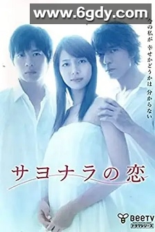 离别之恋(2010)完结6集全迅雷网盘全集下载