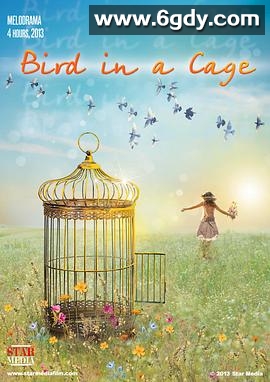 笼中鸟(2013)完结更新至4集迅雷网盘全集下载