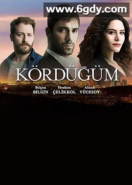 爱情交叉点(2016)完结已完结迅雷网盘全集下载