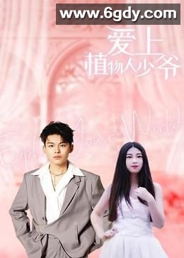 爱上植物人少爷(2024)完结第19集完结迅雷网盘全集下载