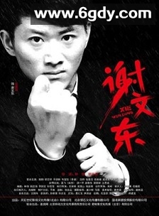 谢文东 第二季(2021)完结28集全迅雷网盘全集下载