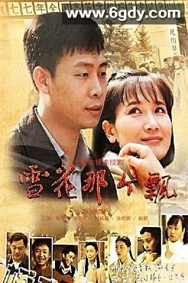 雪花那个飘(2010)完结全38集迅雷网盘全集下载