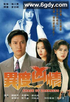 异度凶情(1993)完结20集全迅雷网盘全集下载