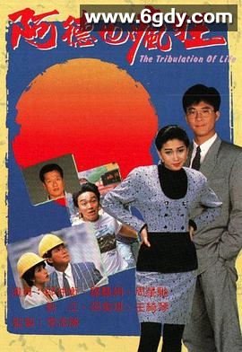 阿德也疯狂(1988)完结20集全迅雷网盘全集下载