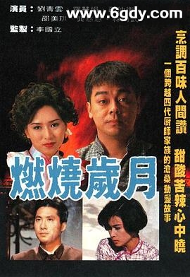 燃烧岁月(1990)完结全20集迅雷网盘全集下载