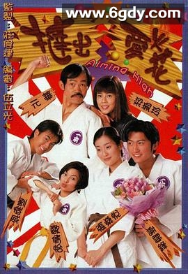 挞出爱火花(2000)完结20集全迅雷网盘全集下载