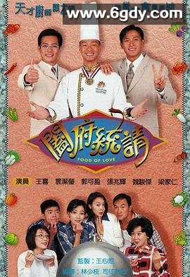 阖府统请(1996)完结30集全迅雷网盘全集下载