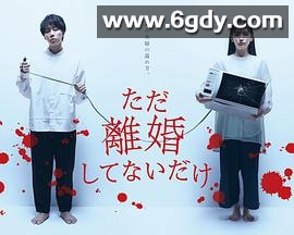 只是没离婚而已(2021)完结全12集迅雷网盘全集下载