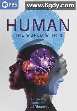 人类：体内的世界(2021)完结6集全迅雷网盘全集下载