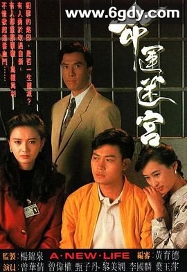 命运迷宫(1991)完结15集全迅雷网盘全集下载