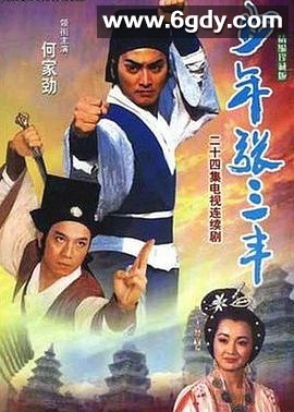 少年张三丰1991(1991)完结已完结迅雷网盘全集下载