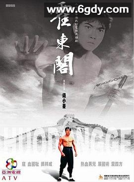 霍东阁(1984)完结30集全迅雷网盘全集下载