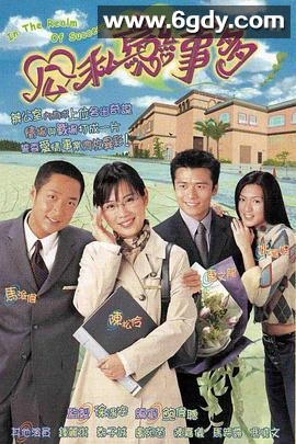 公私恋事多(2001)完结20集全迅雷网盘全集下载