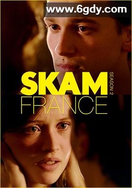 羞耻 法国版 第二季(2018)完结完结迅雷网盘全集下载