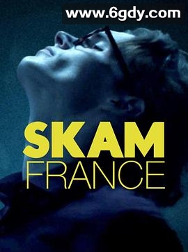 羞耻 法国版 第五季(2020)完结完结迅雷网盘全集下载