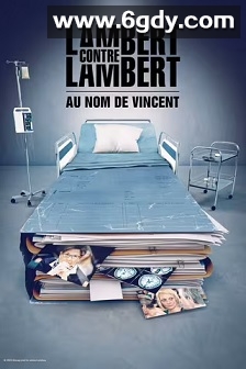 Lambert contre Lambert : Au nom de Vincent Season 1(2023)完结4集全迅雷网盘全集下载