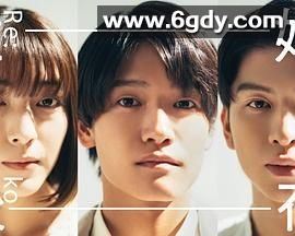 离婚后夜(2024)完结第10集迅雷网盘全集下载