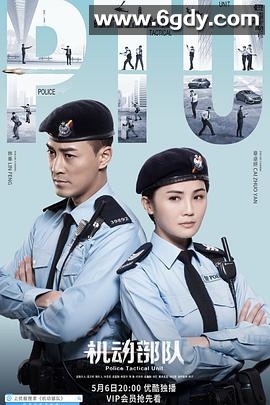 机动部队(2019)完结30集全迅雷网盘全集下载