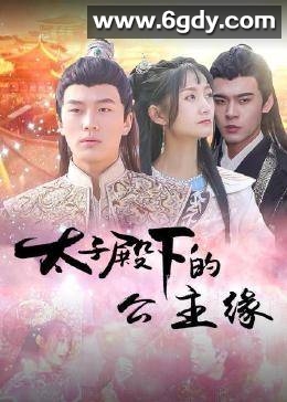 太子殿下的公主缘(2022)完结已完结 共24集迅雷网盘全集下载