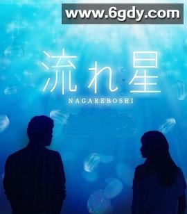 流星(2010)完结完结迅雷网盘全集下载