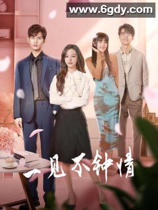 一见不钟情(2024)完结24集全迅雷网盘全集下载