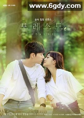 森林(2020)完结16集全迅雷网盘全集下载