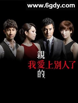亲爱的，我爱上别人了(2013)完结15集全迅雷网盘全集下载