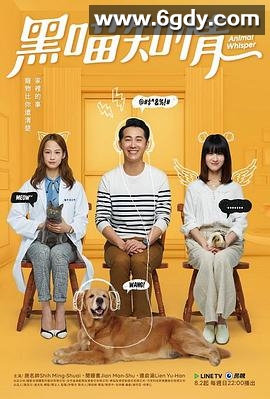 黑喵知情(2020)完结全14集迅雷网盘全集下载