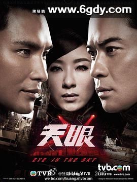 天眼(2015)完结全20集迅雷网盘全集下载