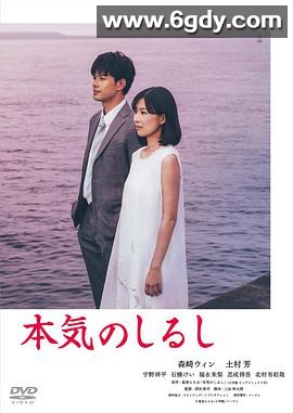 真心的符号(2019)完结10集全迅雷网盘全集下载